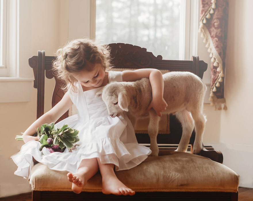 дружба детей и домашних животных андреа мартин