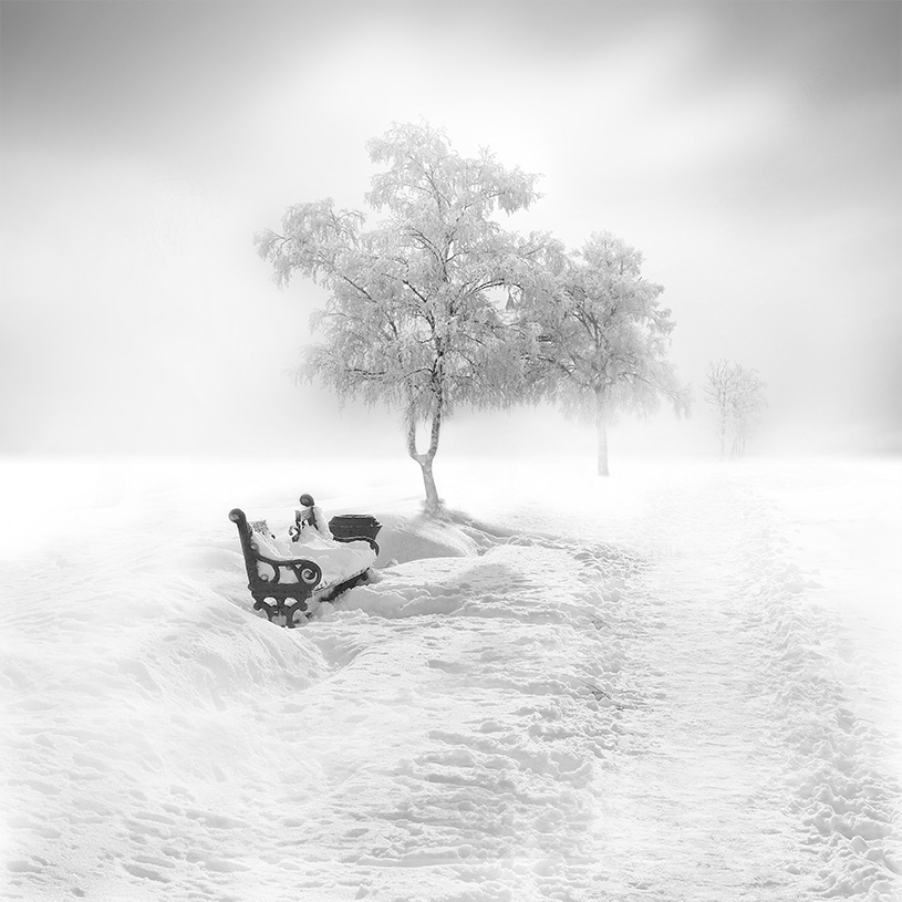 сказочная черно-белая фотография василиса тангулиса