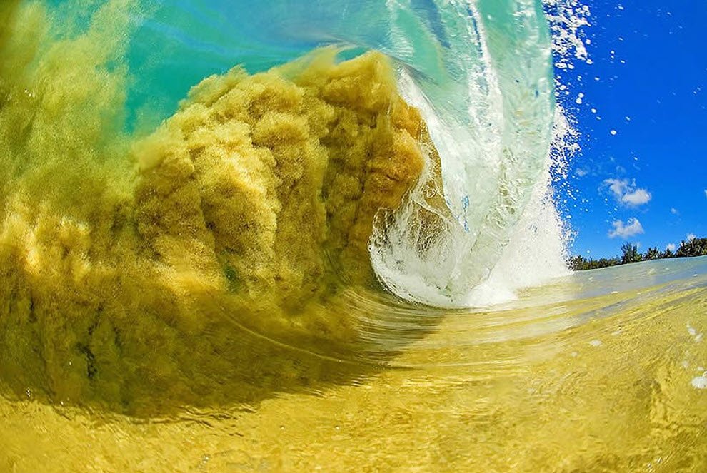 гавайские волны от кларка литтла