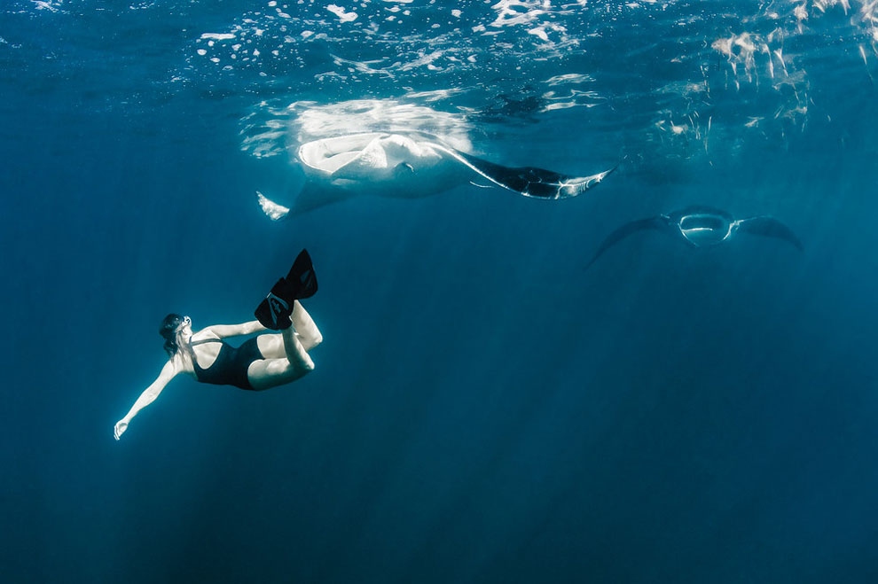 подводная фотография шона хайнрикса