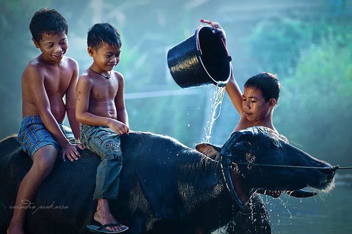 детство в индонезии рариндра пракарса