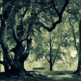 Краски природы Ларса ван де Гура | Фотограф Команда foto.by | foto.by фото.бай