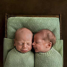 Необыкновенные портреты новорожденных Ребекки Колефакс | Блог о фотографии | Фотограф Команда foto.by