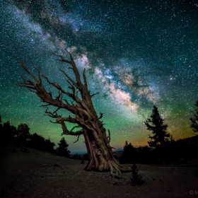 Звездное небо Майкла Шайнблума | Фотограф Команда foto.by | foto.by фото.бай