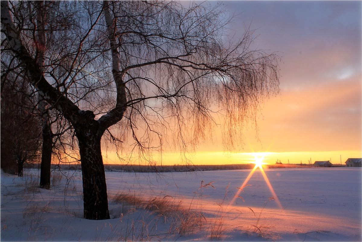 Зимним вечером | Фотограф Александр Войтко | foto.by фото.бай