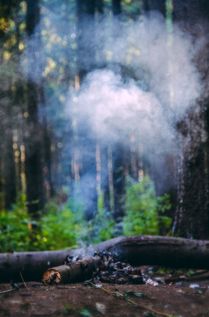 Лесной дух | Фотограф Дарья Крук | foto.by фото.бай