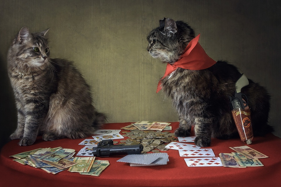 Карты, деньги, два ствола | Фотограф Ирина Приходько | foto.by фото.бай