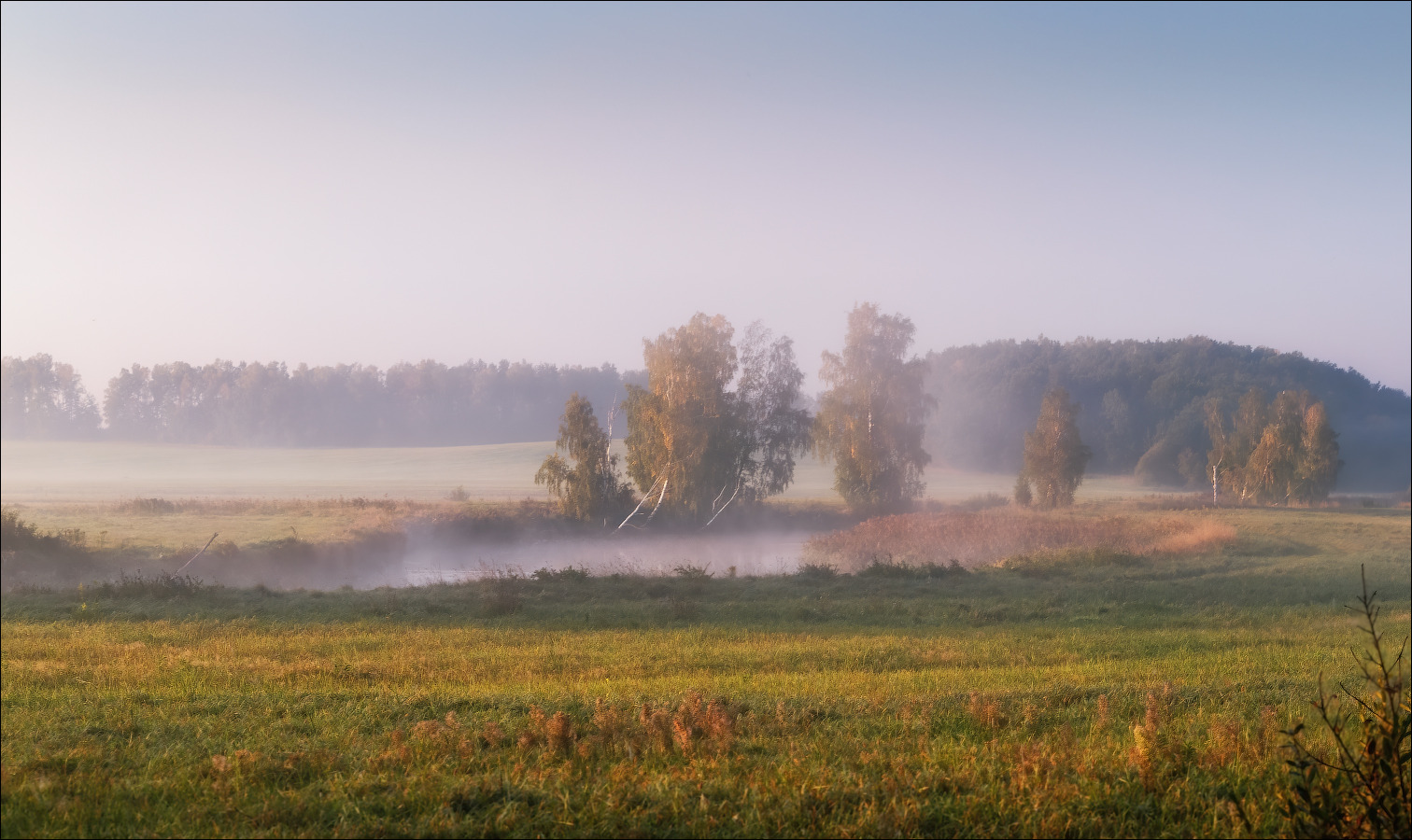 Классика тумана | Фотограф Сергей Шабуневич | foto.by фото.бай