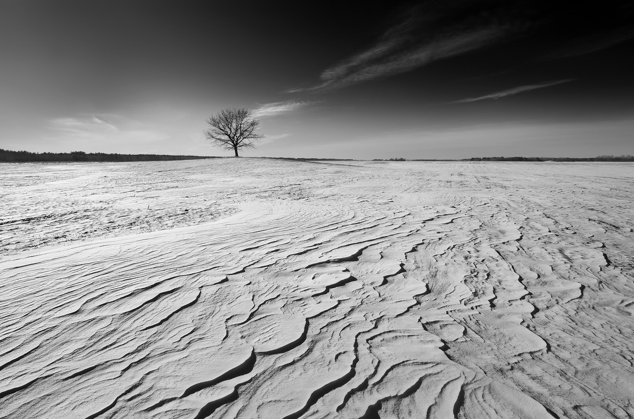 Snow desert | Фотограф Сергей Шляга | foto.by фото.бай