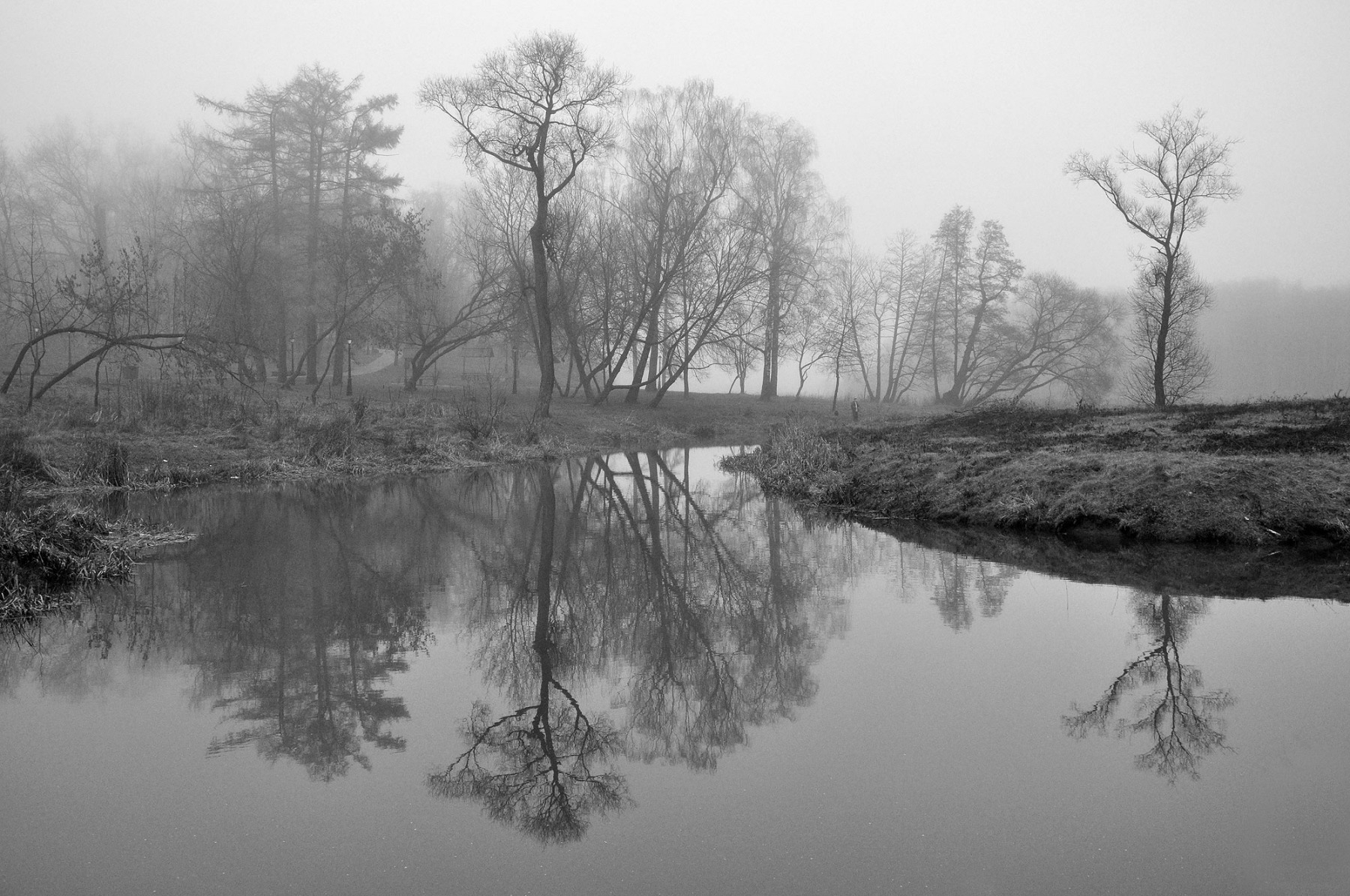 Туман | Фотограф Роман Маисей | foto.by фото.бай