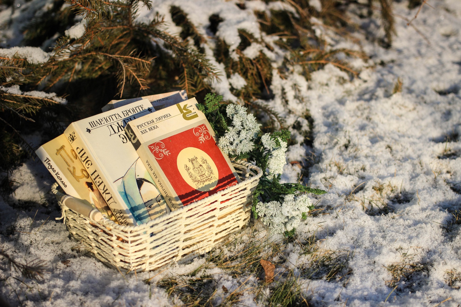 WinterBooks | Фотограф Юлия Захарова | foto.by фото.бай
