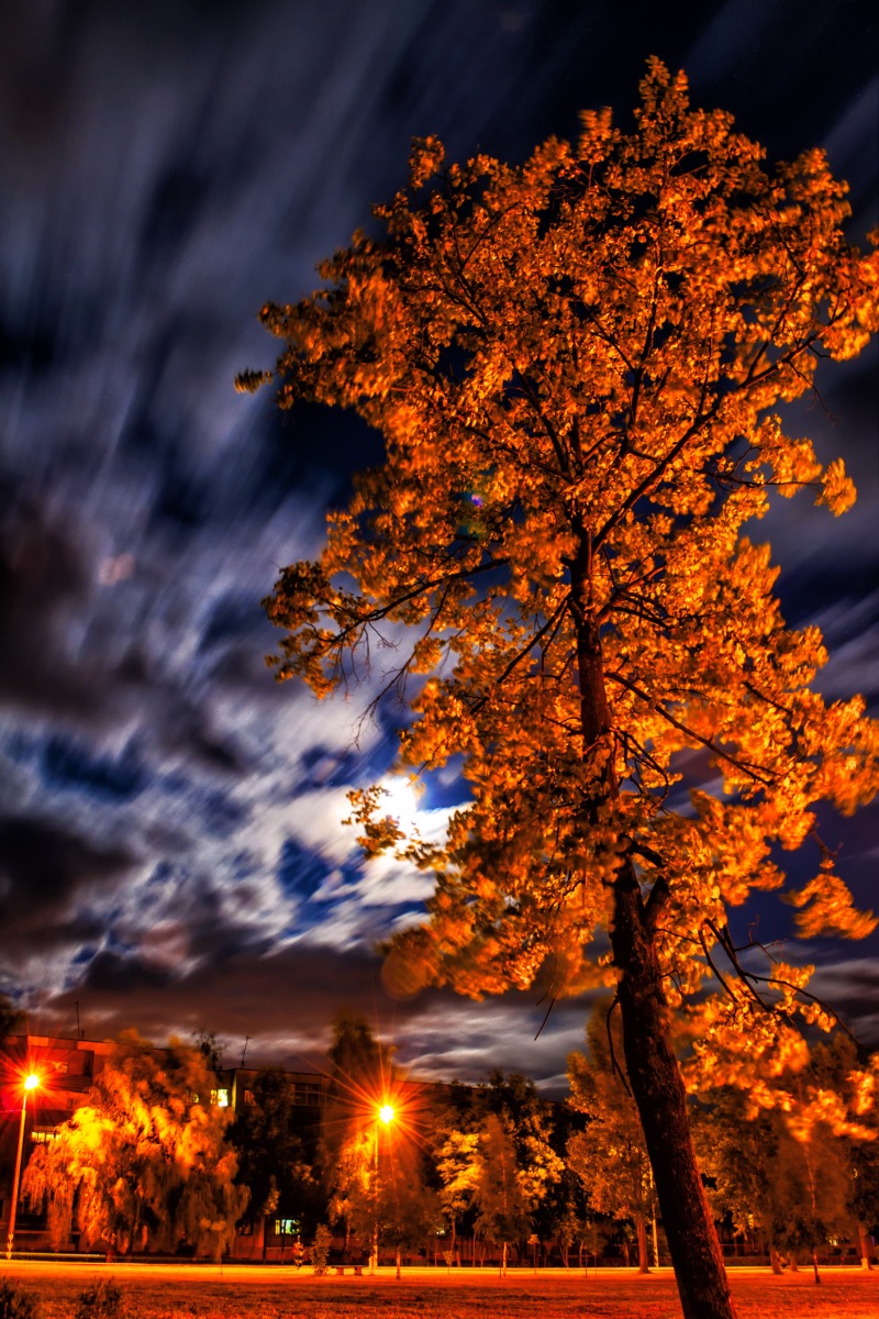 Осеннее настроение летней ночью | Фотограф Сергей Ласута | foto.by фото.бай
