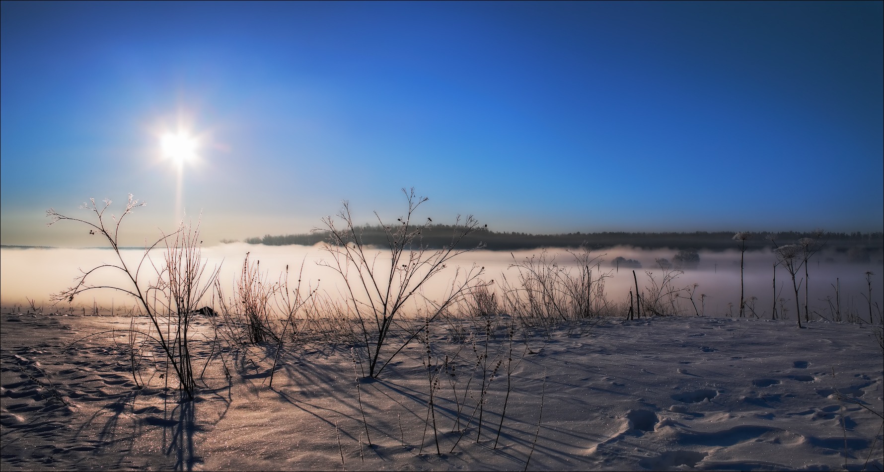 Контрасты зимы | Фотограф Сергей Шабуневич | foto.by фото.бай