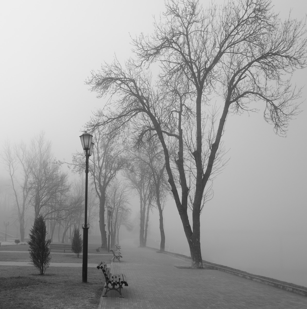 Туманным апрельским утром | Фотограф Зміцер Пахоменка | foto.by фото.бай