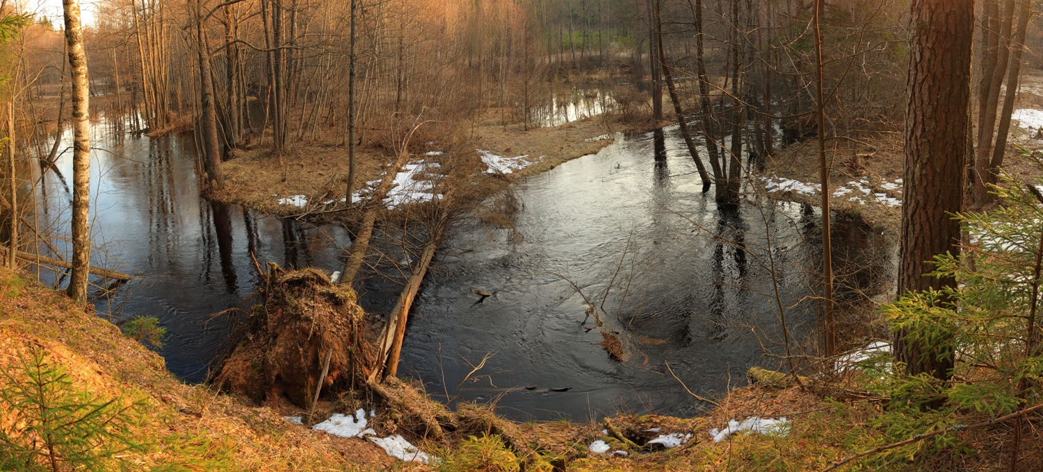 Панорама дикой природы | Фотограф Андрей Марцинкевич | foto.by фото.бай
