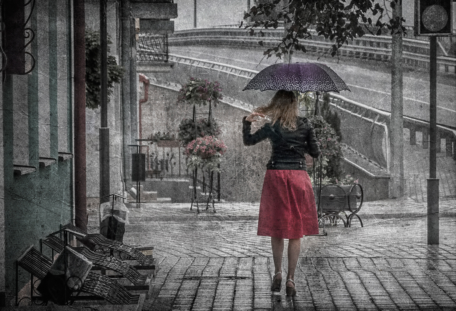 Под дождем | Фотограф Александр Шатохин | foto.by фото.бай