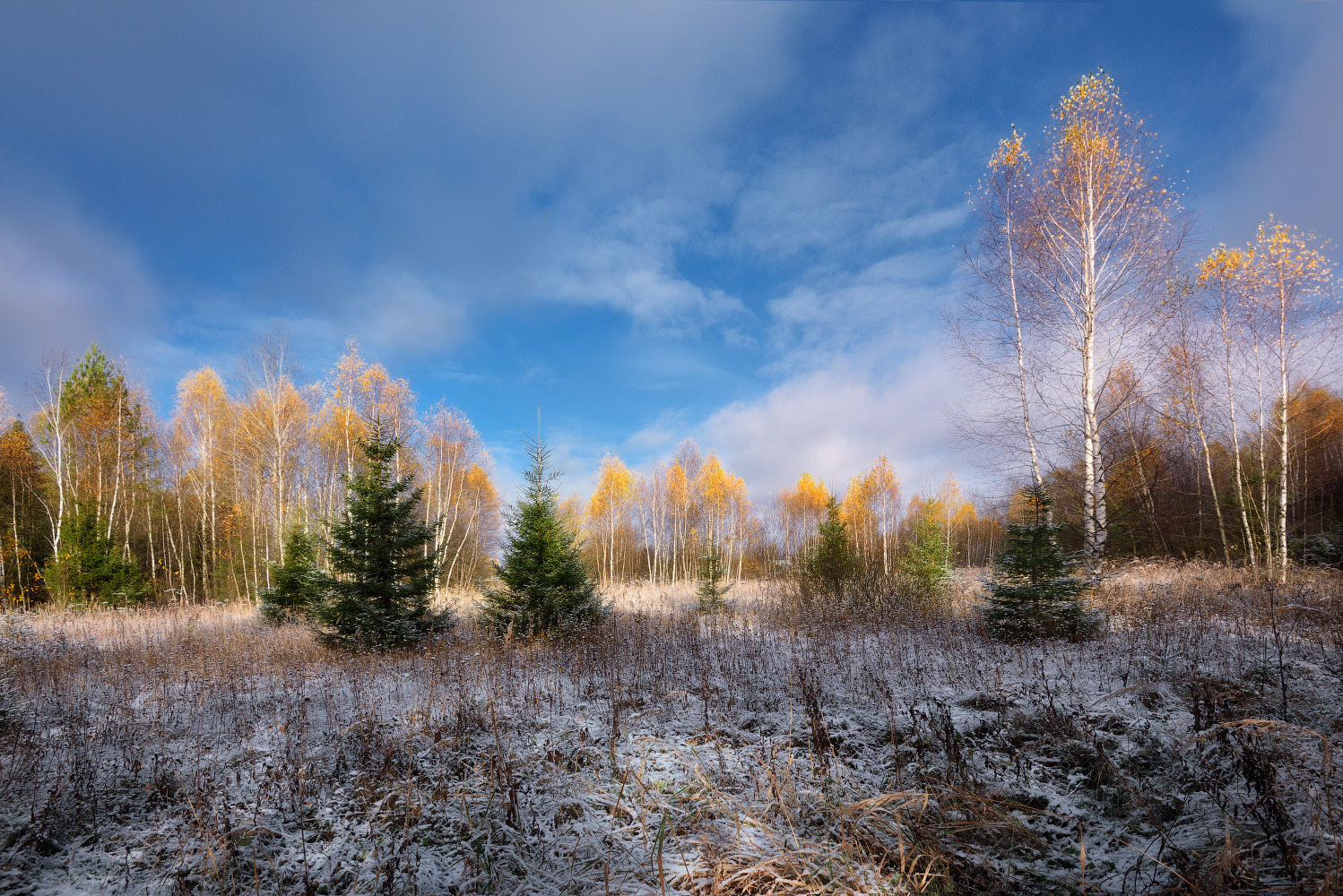первый снег | Фотограф Виталий Полуэктов | foto.by фото.бай