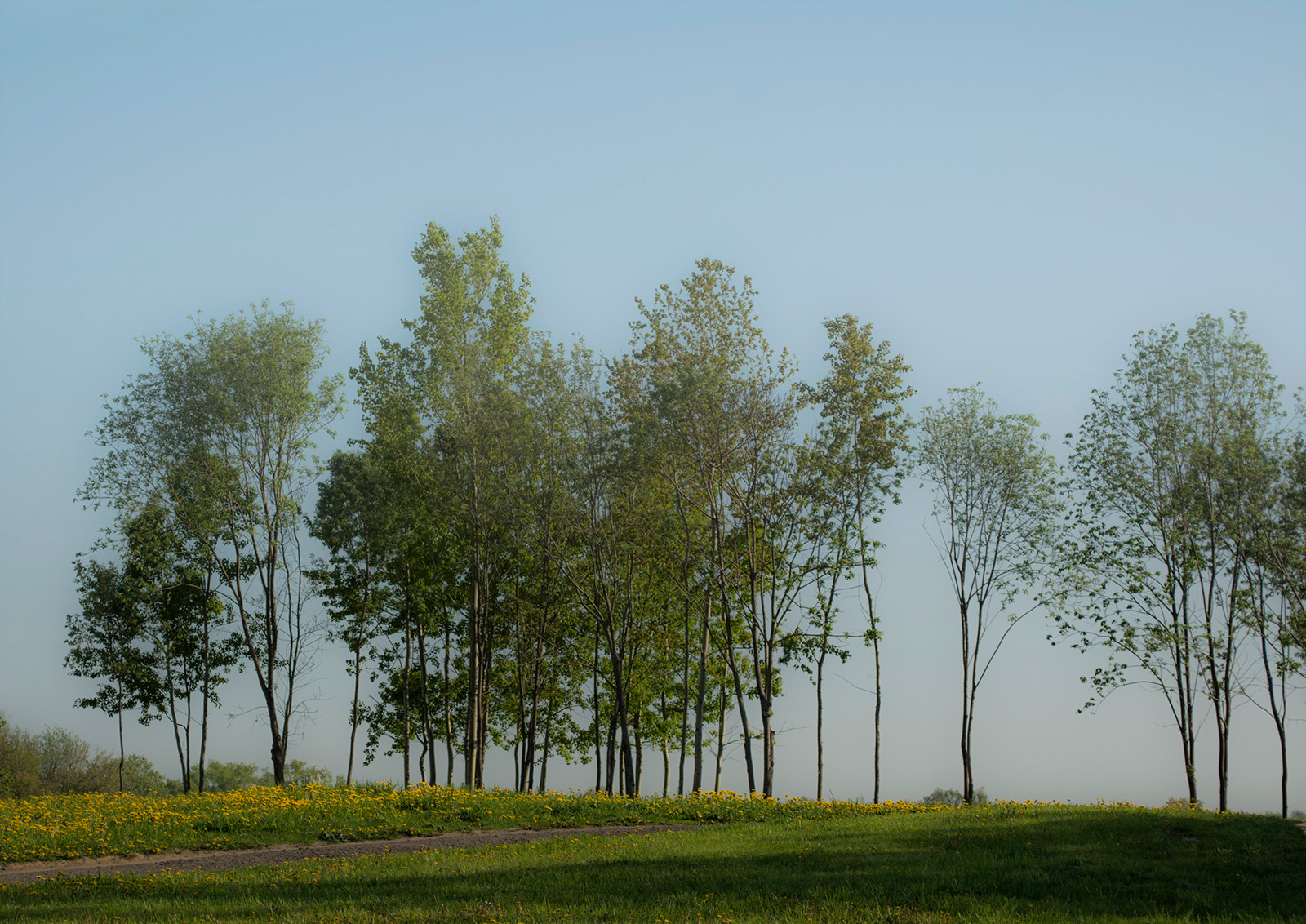 *** | Фотограф Andrei Savitsky | foto.by фото.бай