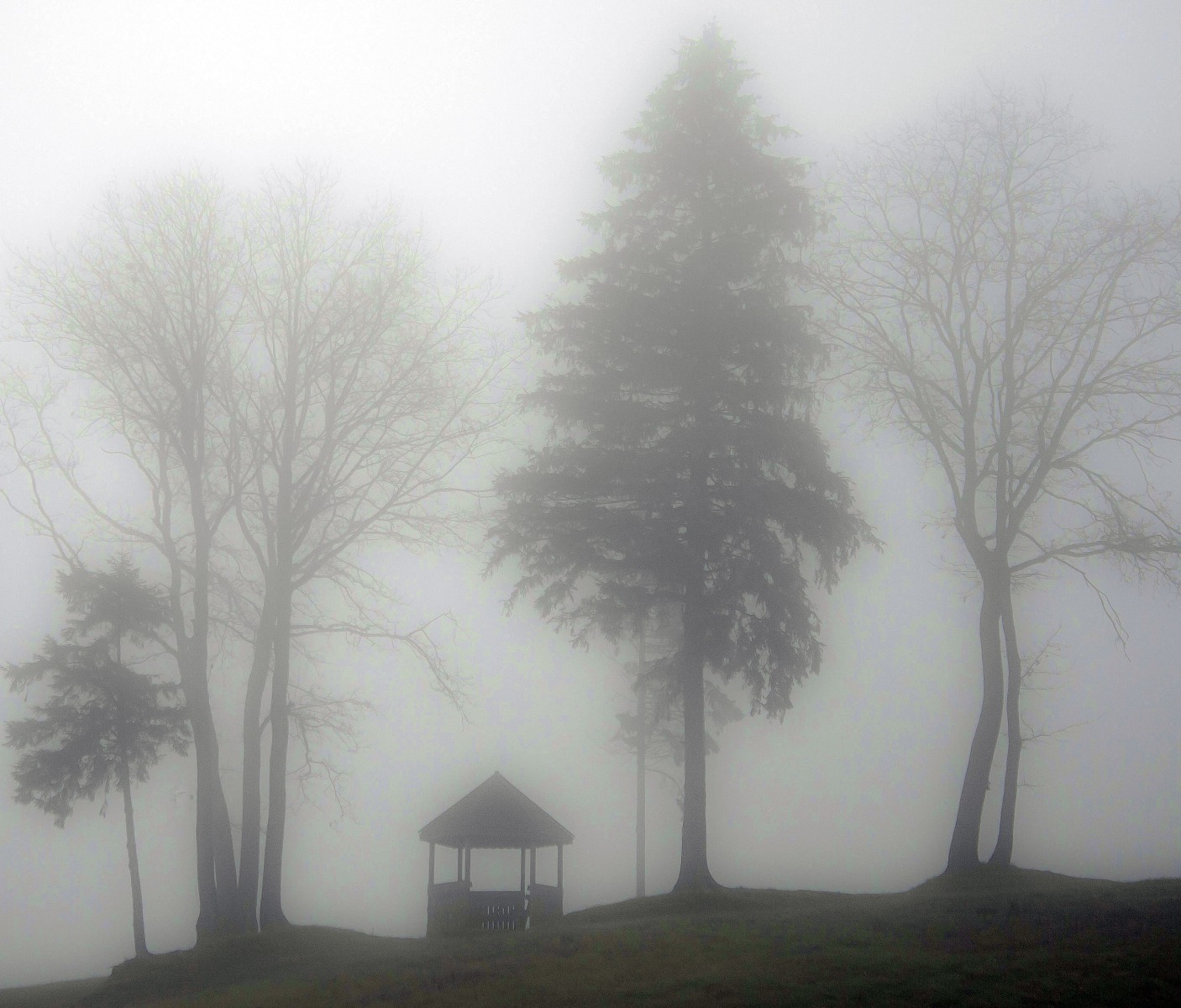 В тумане | Фотограф Николай Климович | foto.by фото.бай