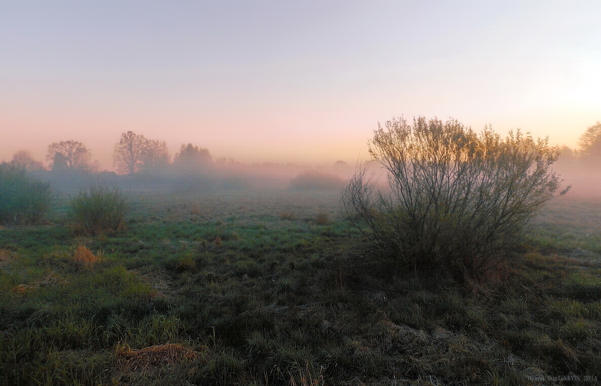 Утро раннее... | Фотограф Диана Буглак-Диковицкая | foto.by фото.бай