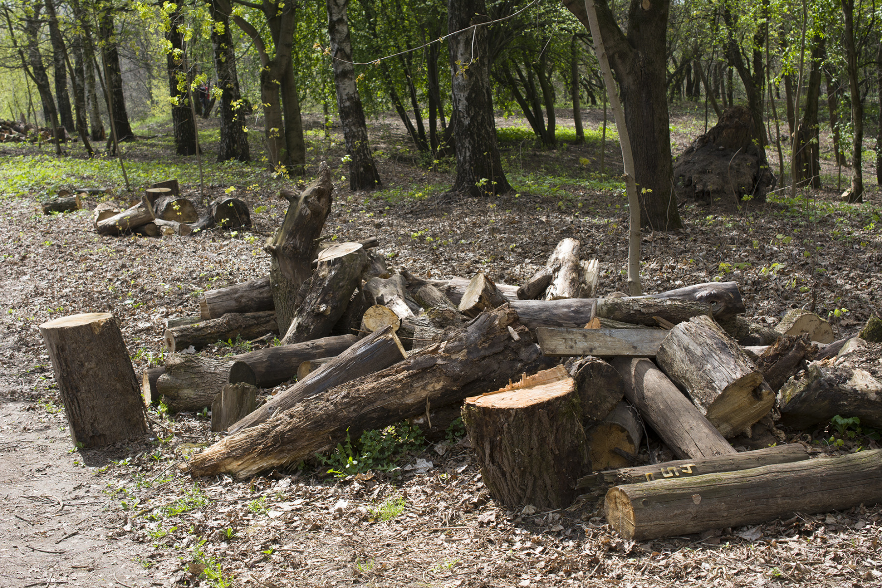 *** | Фотограф Andrei Savitsky | foto.by фото.бай