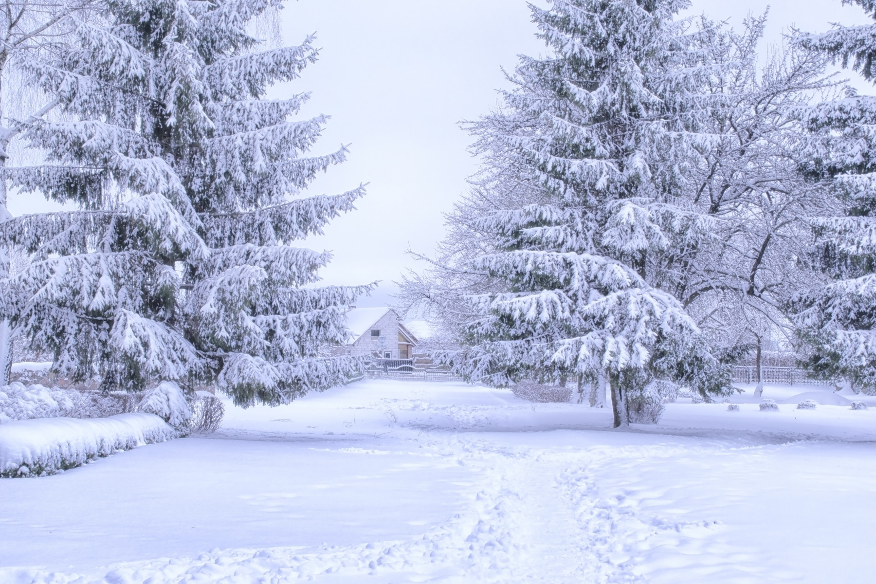 зима | Фотограф Юлия Кранина | foto.by фото.бай