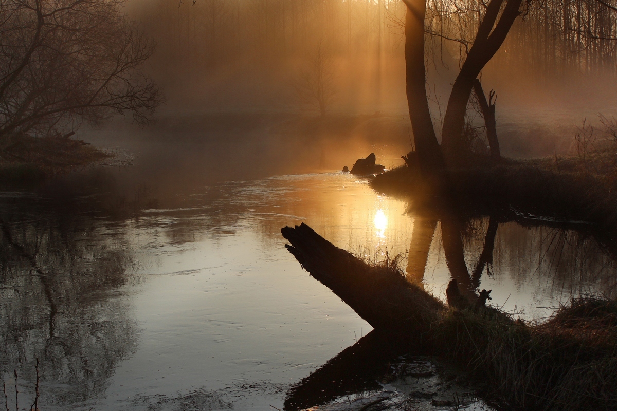 Утро на реке | Фотограф Игорь Денисов | foto.by фото.бай