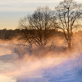 Морозное утро на Свислочи | Фотограф Ольга Максимова | foto.by фото.бай
