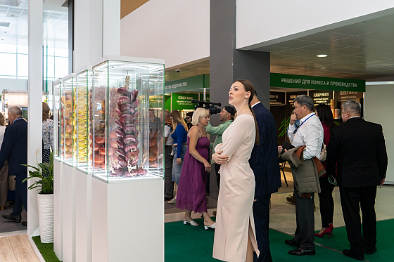 Фотограф Анна Чапайкина, фотография добавлена 20.08.2024