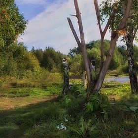 фотограф Сергей Шабуневич. Фотография "У лесного пруда"