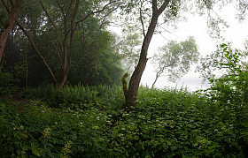 Утро возле реки | Фотограф Сергей Шабуневич | foto.by фото.бай