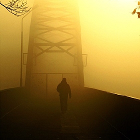 фотограф Владислав Рогалев. Фотография "туманным утром октября"