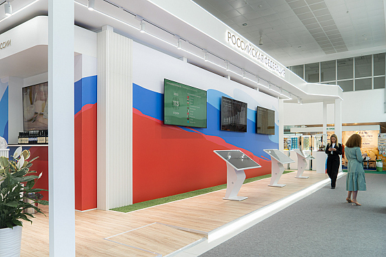 Фотограф Анна Чапайкина, фотография добавлена 20.08.2024