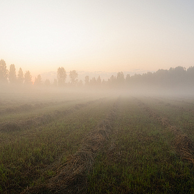 Сквозь туман | Фотограф Олег Фролов | foto.by фото.бай
