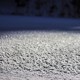 Снежный ковёр | Фотограф Константин Konstanto | foto.by фото.бай
