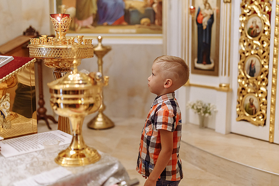Фотограф Ирина Карпенко, фотография добавлена 12.06.2019