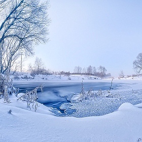 Выпал снег | Фотограф Стас Аврамчик | foto.by фото.бай