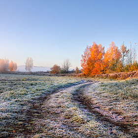 Осенние заморозки | Фотограф Сергей Шабуневич | foto.by фото.бай