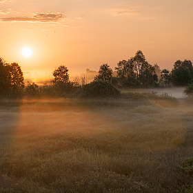Начало нового дня | Фотограф Александр Шатохин | foto.by фото.бай
