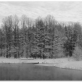 Зима | Фотограф Михаил Цегалко | foto.by фото.бай