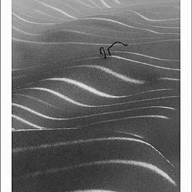 волна | Фотограф Elenka Donbrova-Artmensk | foto.by фото.бай