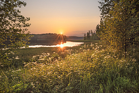 тепло летнеговечера | Фотограф Виталий Полуэктов | foto.by фото.бай