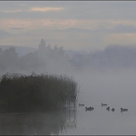 фотограф Александр Задёрко. Фотография "Предрассветный туман"