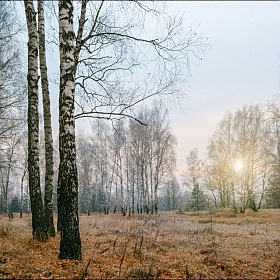 Легкое туманное утро | Фотограф Юрий Купреев | foto.by фото.бай