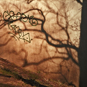 Теневой граффитчик | Фотограф Anton mrSpoke | foto.by фото.бай