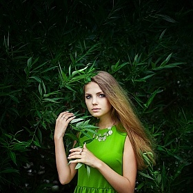 фотограф Сергей Пилтник. Фотография "jungle"
