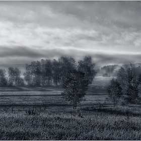 Летние туманы над Свислочью | Фотограф Сергей Шабуневич | foto.by фото.бай