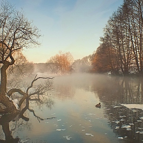 фотограф Валерий Козуб. Фотография "Утро на реке"