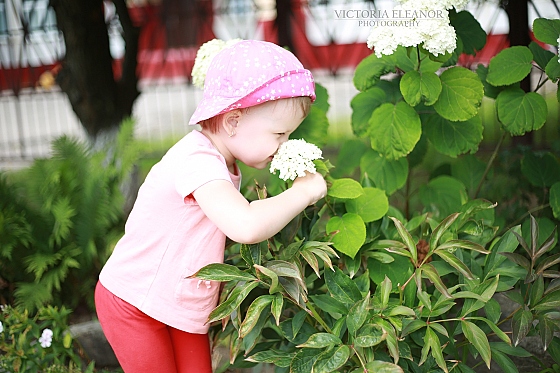 Виктория Eleanor - фотограф в городе Борисов, фотография добавлена 23.08.2015