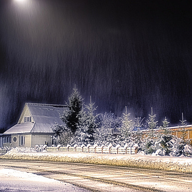 фотограф Юлия Кранина. Фотография "... и падал снег"